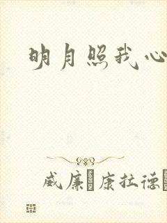 明月照我心小说