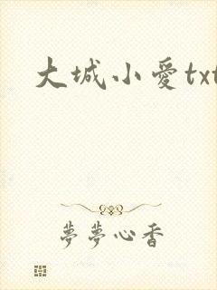 大城小爱txt