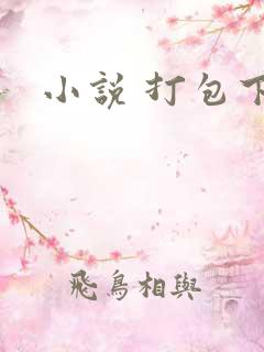 小说 打包下载