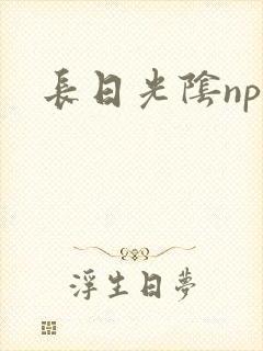 长日光阴np