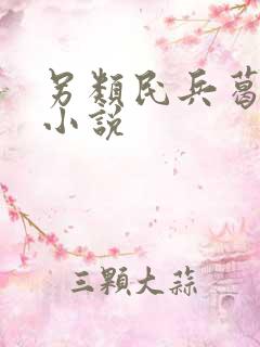 另类民兵葛二蛋小说