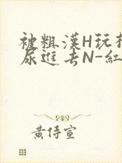 被粗汉H玩松了尿进去N-红-Q