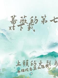 蔷薇的第七夜txt下载