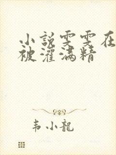 小说雯雯在工地被灌满精