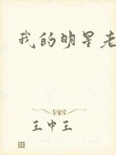 我的明星老豆