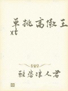 单挑高傲王子txt