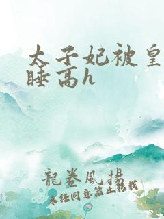 太子妃被皇上强睡高h