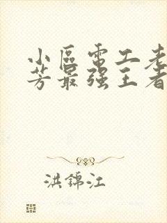 小区电工老周刘芳最强王者