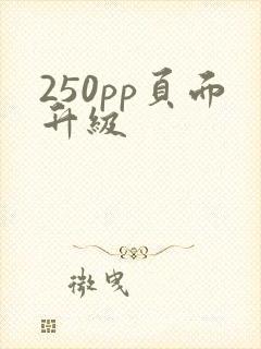 250pp页面升级