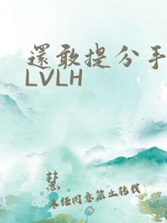 还敢提分手吗嗯LVLH