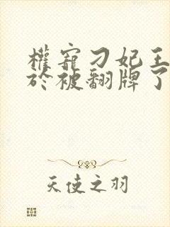 权宠刁妃王爷终于被翻牌了