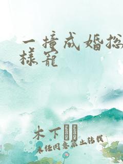 一撞成婚总裁花样宠