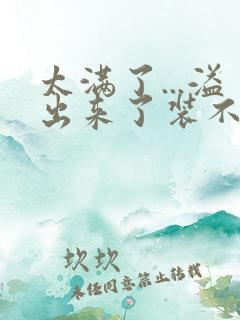 太满了...溢出来了装不下了