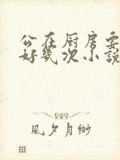 公在厨房要了我好几次小说