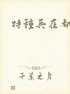 特种兵在都市