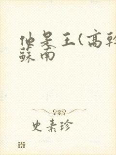 他是王(高干)苏南