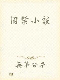 囚禁小说