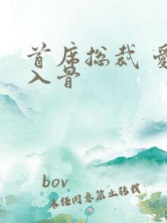 首席总裁 爱你入骨