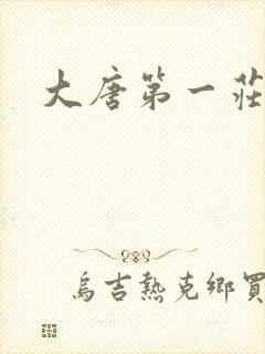 大唐第一庄