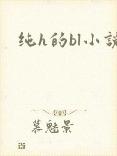纯h的bl小说