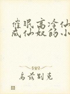 催眠高冷仙奴变成仙奴的小说