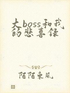 大boss和我的悲喜录