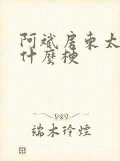 阿斌房东太太是什么梗