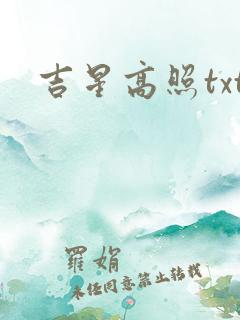 吉星高照txt