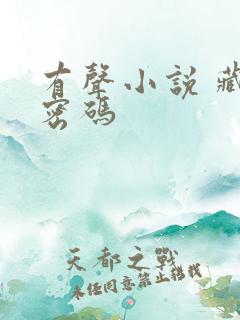 有声小说 藏地密码