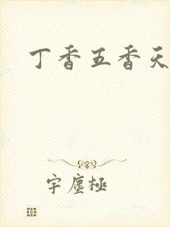 丁香五香天麻豆