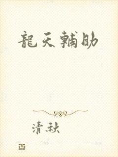 龙天辅助