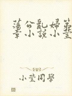 荡公乱妇第51章小说小莹