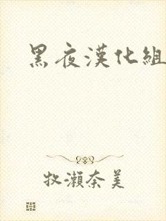 黑夜汉化组