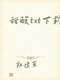 甜酸txt下载