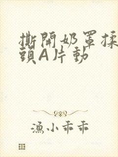 撕开奶罩揉吮奶头A片动