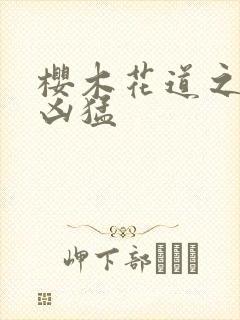 樱木花道之重生凶猛