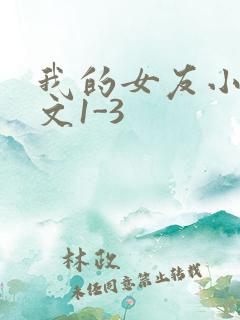 我的女友小洁全文1-3