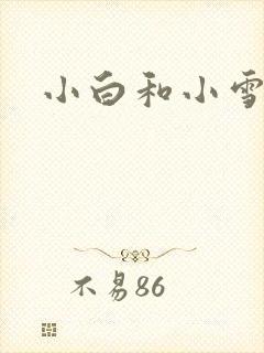 小白和小雪