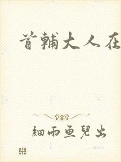 首辅大人在上