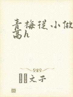 青梅从小做到大高h