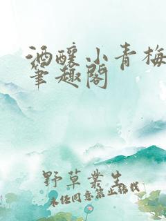 酒酿小青梅po笔趣阁