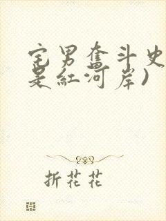 宅男奋斗史(天是红河岸)