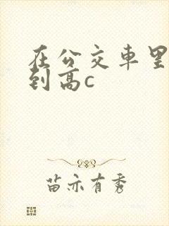 在公交车里c弄到高c