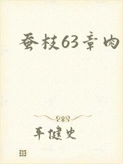 蚕枝63章肉