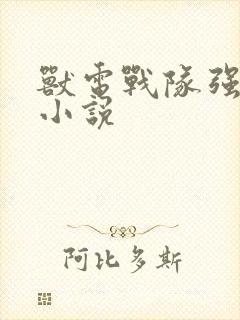 兽电战队强龙者小说