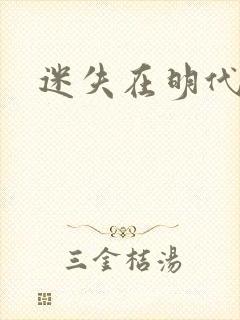 迷失在明代末年