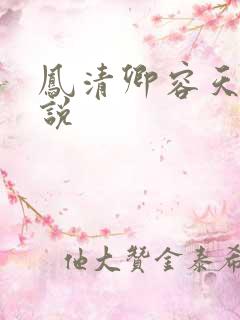 凤清卿容天凌小说