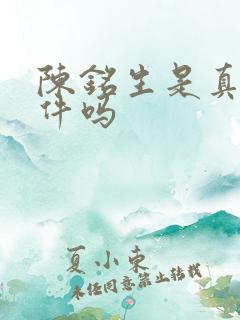 陈铭生是真实事件吗