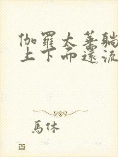 伽罗太华躺在床上下面还流东西