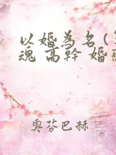 以婚为名 (军魂 高干 婚恋)